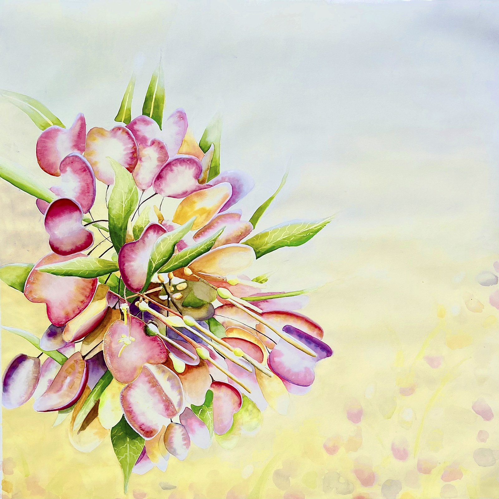 Hawaiian Shower Tree by Erin Sabado, printed by Maui Digital Imaging.