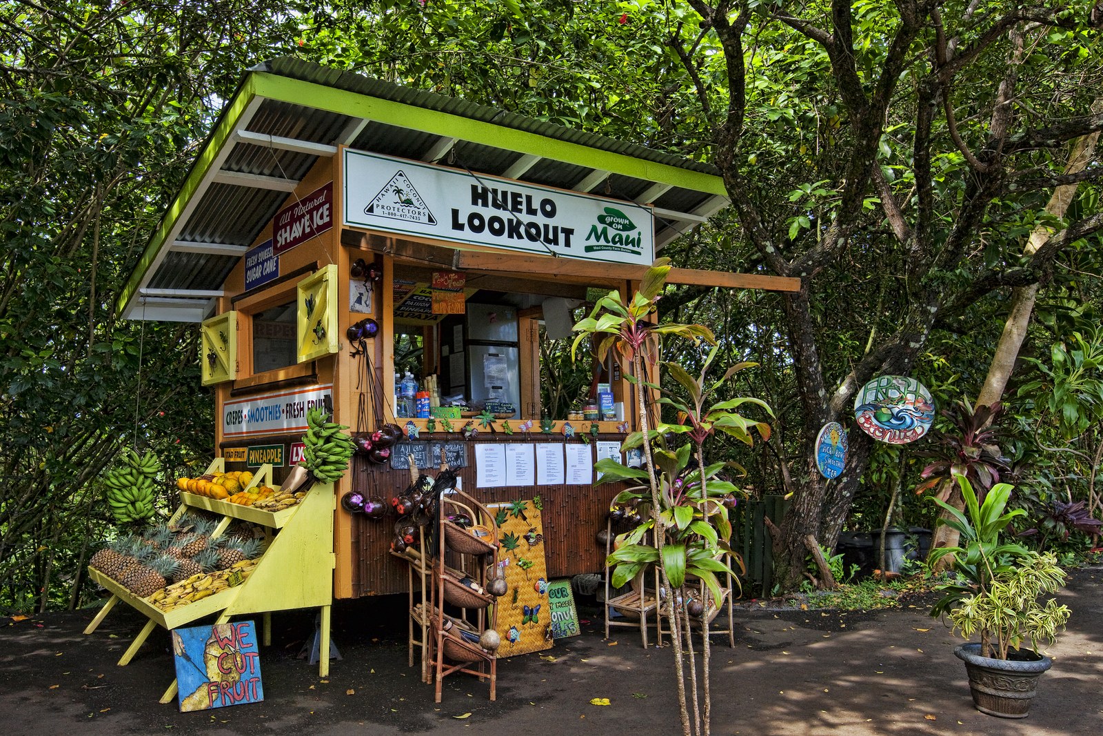 Huelo Lookout by James Roemmling, printed by Maui Digital Imaging.