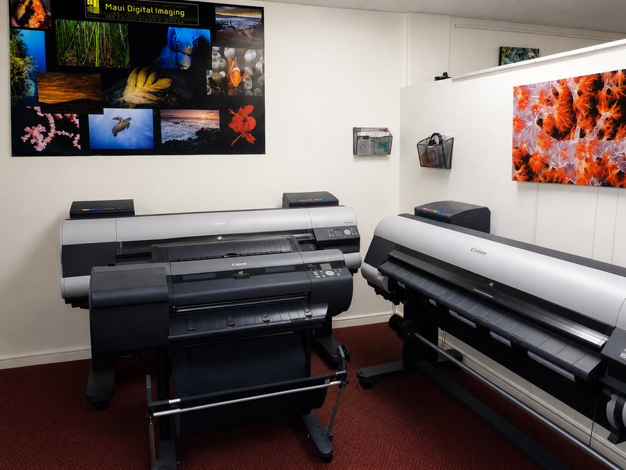 Two large-format printers side by side in the Maui Digital Imaging print room, with a vivid coral print displayed on the wall behind them.