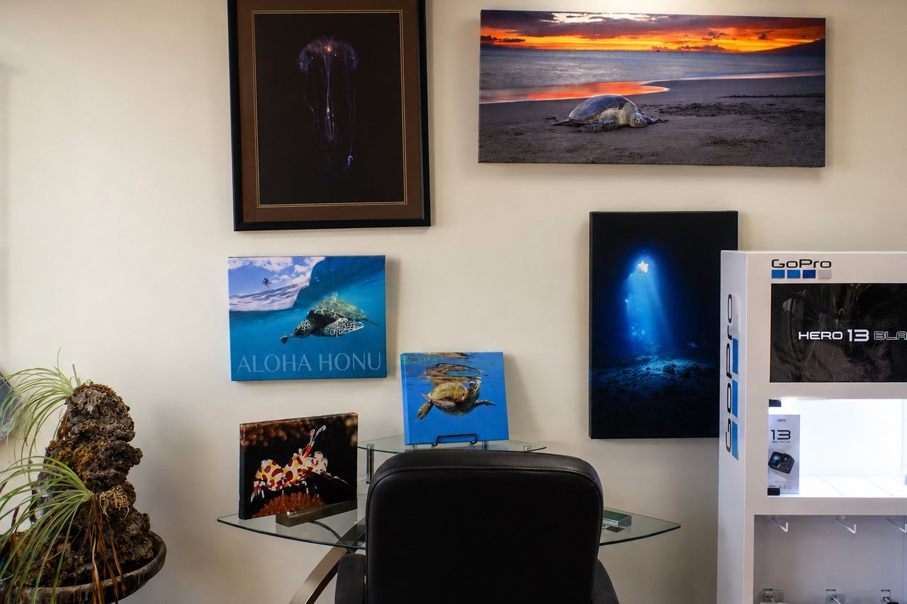 Framed and metal prints of underwater and sunset scenes displayed above a glass counter.